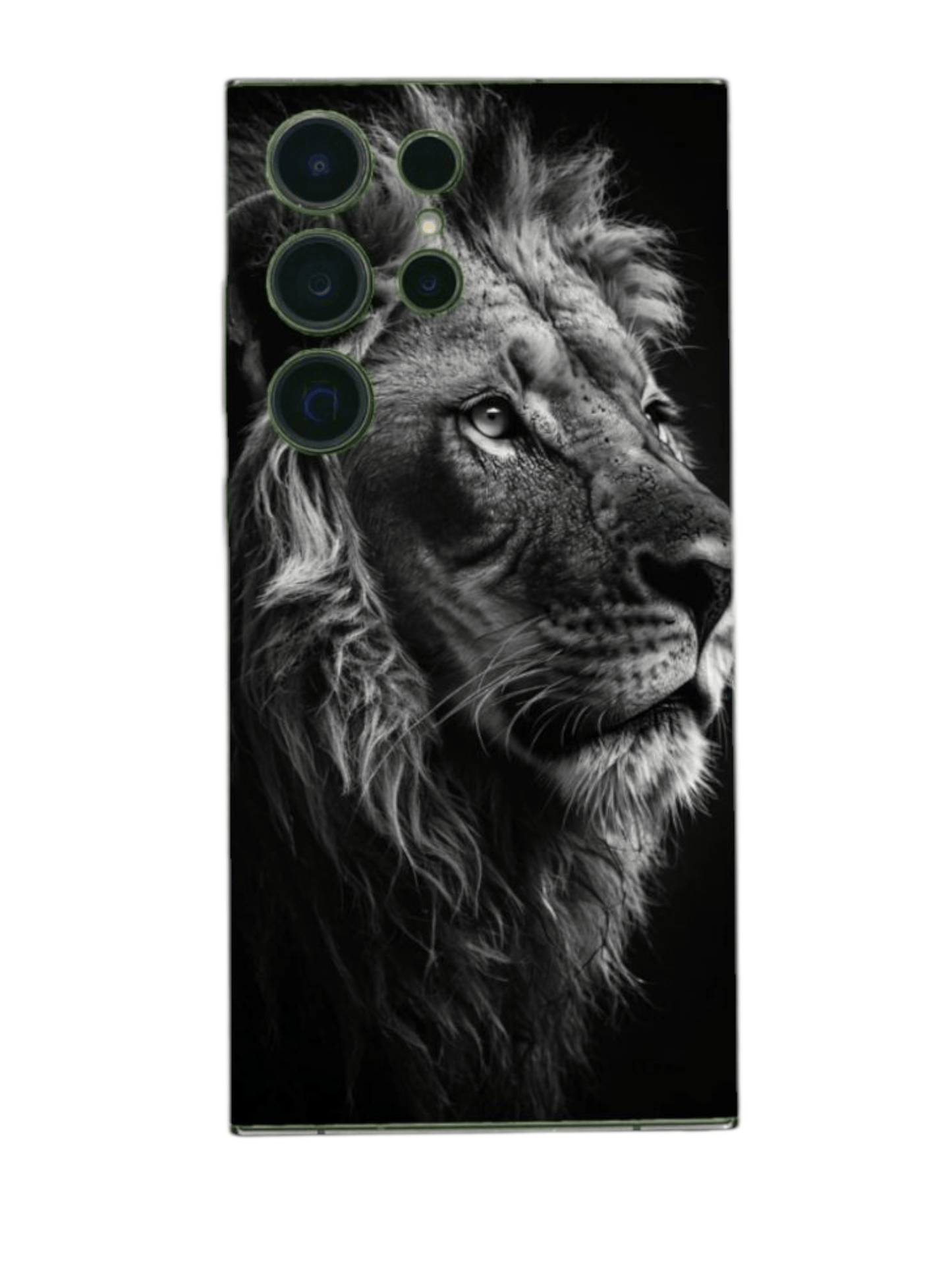 Arctic Shield BackSkin – Lion's Gaze asennettuna