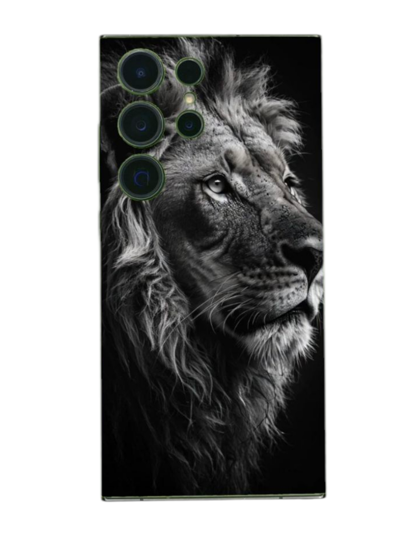 Arctic Shield BackSkin – Lion's Gaze asennettuna